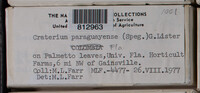 Image Associated With the Occurence